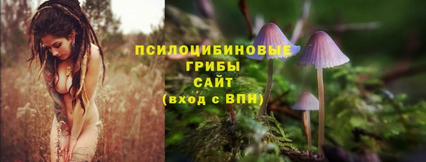 эйфоретик Беломорск