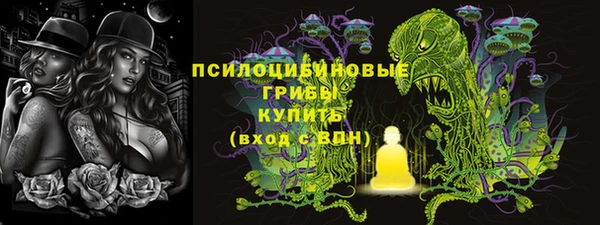 гидропоника Белоозёрский