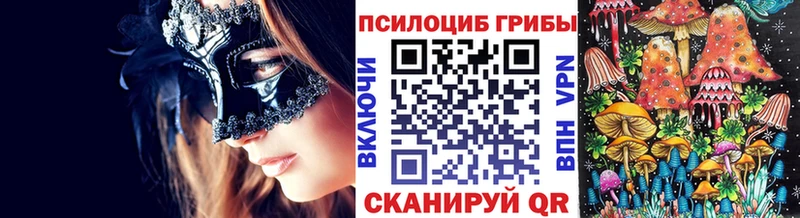 MEGA онион  Мглин  Псилоцибиновые грибы MAGIC MUSHROOMS 